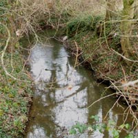 River Crouch crossing Noak Hill Road