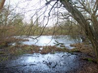 Source of the River Crouch