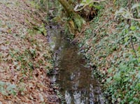 River Crouch on Burstead Golf course