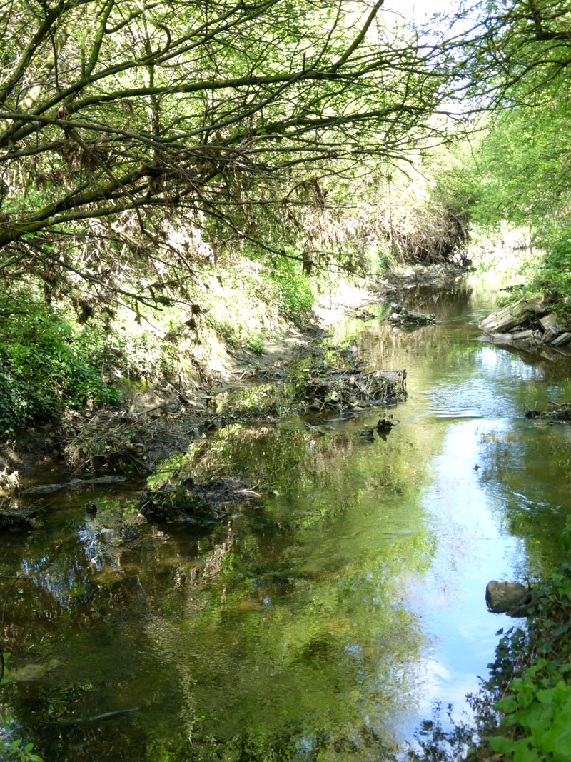 picture of the River Crouch by Terry Joyce