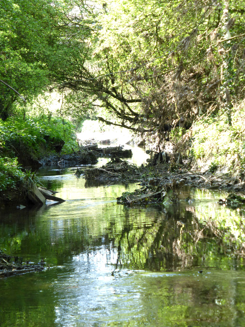 picture of the River Crouch by Terry Joyce