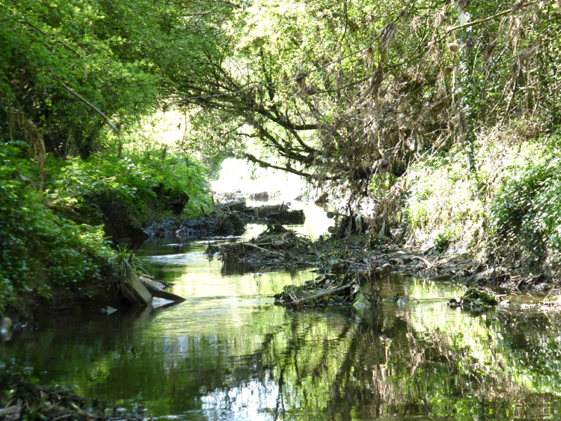 picture of the River Crouch by Terry Joyce