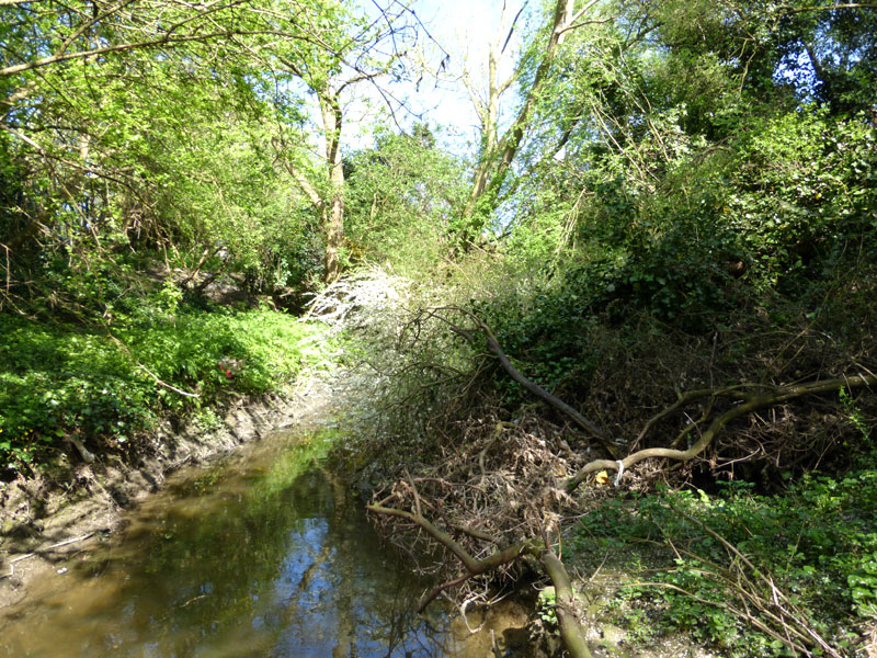 picture of the River Crouch by Terry Joyce