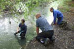 working party on River Crouch