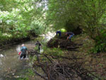 rubbish removed from River Crouch at Memorial Park Wickford