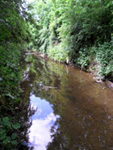 River Crouch cleaned