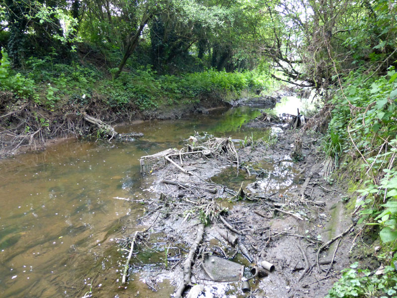 picture of the River Crouch by Terry Joyce