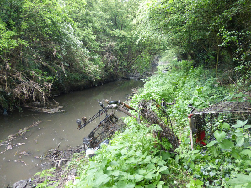 picture of the River Crouch by Terry Joyce