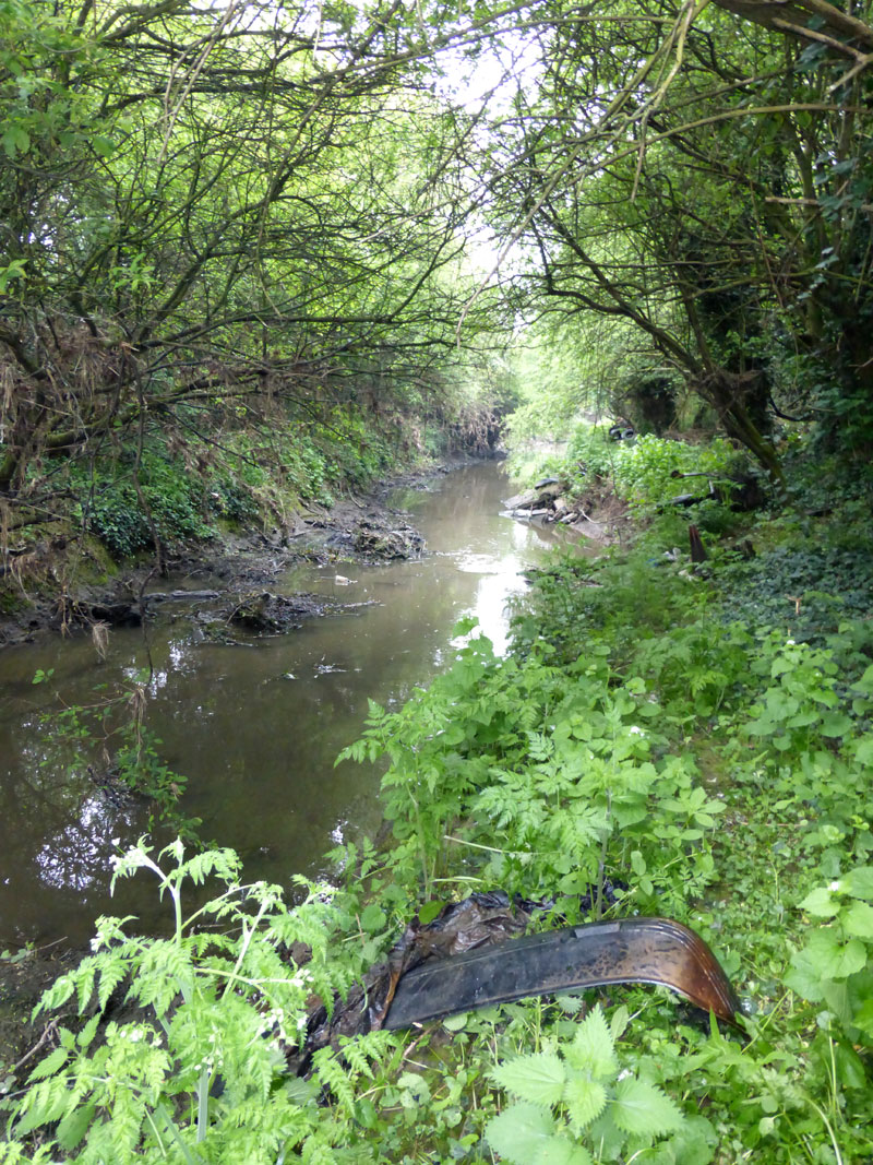 picture of the River Crouch by Terry Joyce