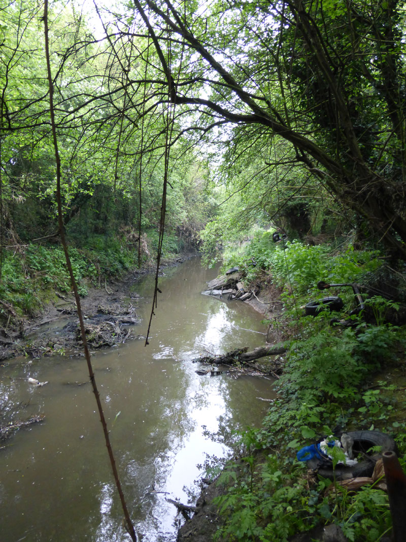 picture of the River Crouch by Terry Joyce